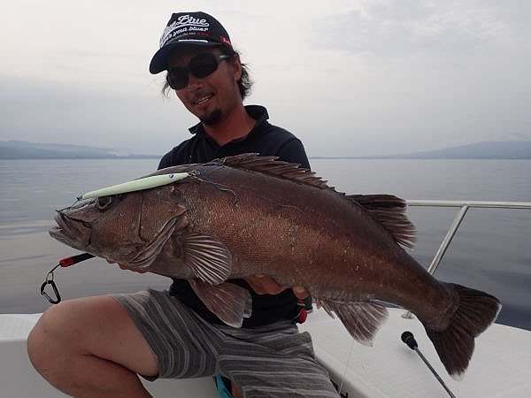 BlueBlue Conifer 160g 04 Jig Yem