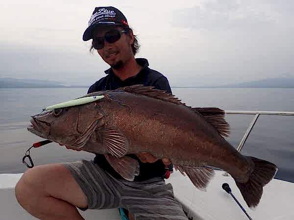 BlueBlue Conifer 250g 07 Jig Yem