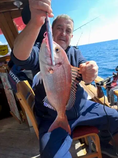 BlueBlue Conifer 310g 02 Jig Yem