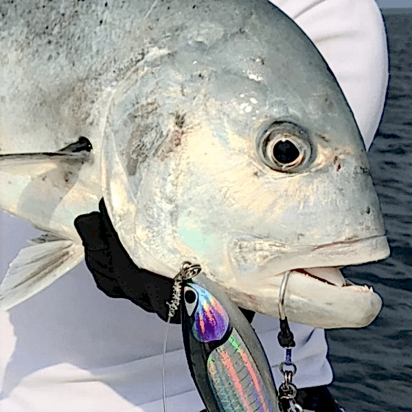 Vanfook Beast Edge Plug 4/0 Asist Kancası