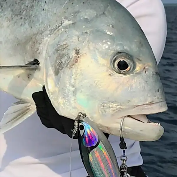 Vanfook Beast Edge Plug 6/0 Asist Kancası