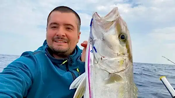 BlueBlue Conifer 160g 14 Jig Yem