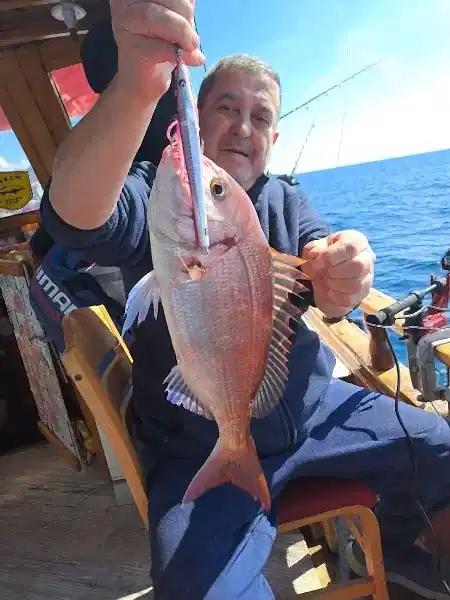 BlueBlue Conifer 160g 14 Jig Yem