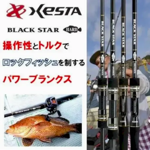 Xesta Black Star Hard S90HX 2.74M 10-50G Spin Kamış