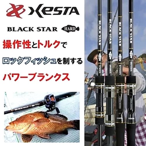 Xesta Black Star Hard S90HX 2.74M 10-50G Spin Kamış