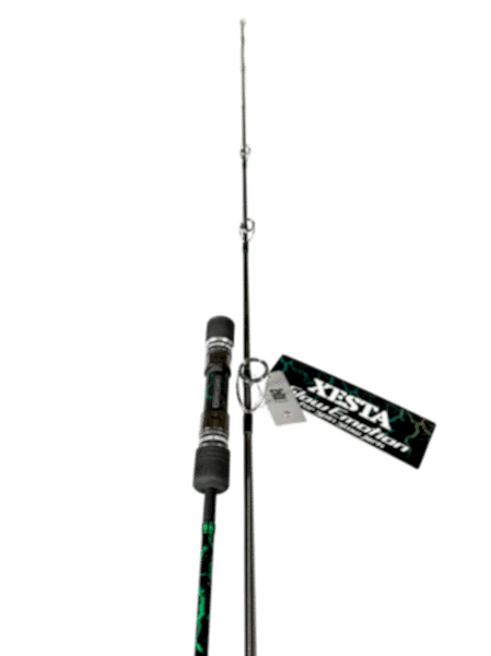 Xesta Slow Emotion For Spin Slow Jerk S654 1.95m 180-400