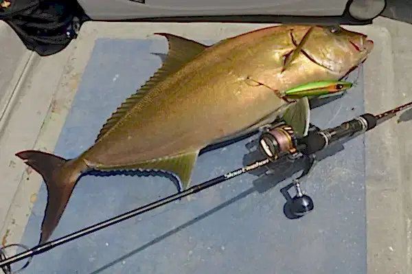 Xesta Slow Emotion For Spin Slow Jerk S654 1.95m 180-400