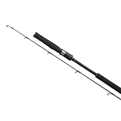 Shimano Game Type Jigging Max 250g 178cm Jig Kamışı